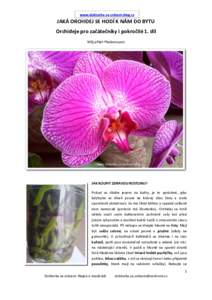 www.doktorka-se-srdcem.blog.cz  JAKÁ ORCHIDEJ SE HODÍ K NÁM DO BYTU Orchideje pro začátečníky i pokročilé 1. díl Můj přítel Phalaenopsis