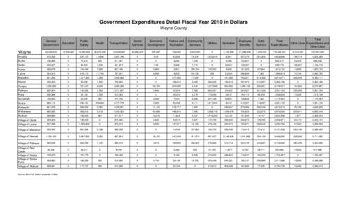 Government Expenditures Detail Fiscal Year 2010 in Dollars Wayne County Wayne  General