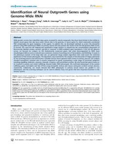 Identification of Neural Outgrowth Genes using Genome-Wide RNAi Katharine J. Sepp1*, Pengyu Hong2, Sofia B. Lizarraga3,4, Judy S. Liu3,4, Luis A. Mejia3,4, Christopher A. Walsh3,4, Norbert Perrimon1,5 1 Department of Gen