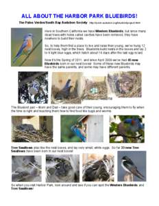 ALL ABOUT THE HARBOR PARK BLUEBIRDS! The Palos Verdes/South Bay Audubon Society http://pvsb-audubon.org/bluebirdproject.html Here in Southern California we have Western Bluebirds; but since many dead trees with holes cal
