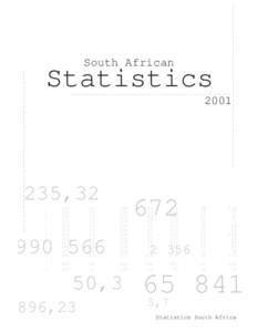 South African  Statistics[removed],32