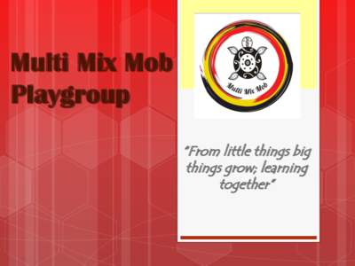 Multi Mix Mob Playgroup “From little things big things grow; learning together”