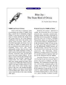 Orissa Review * April[removed]Blue Jay :
