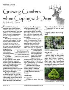 Feature Article  Growing Conifers when Coping with Deer by Richard L. Bitner