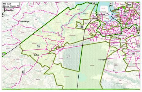 HB 5005 Raynor House District 76 Ivor  Pons