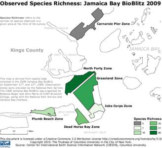Observed Species Richness: Jamaica Bay BioBlitz 2009 Species Richness refers to the number of species observed in a given area at the time of the survey.  PAERDEGAT BASIN