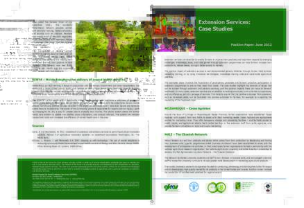 Extension Services: Case Studies © 2003 Anna Temu/IFPRI  The Co-operative is helping women
