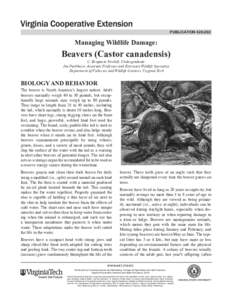 publication[removed]Managing Wildlife Damage: Beavers (Castor canadensis) C. Benjamin Newbill, Undergraduate