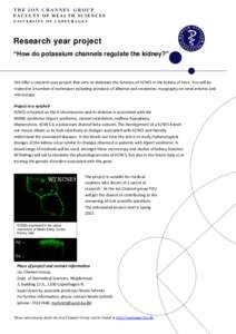 Integral membrane proteins / Medicine / Protein families / Ion channels / Alport syndrome / Urinalysis / Potassium in biology / Potassium channel / Biology / Kidney diseases / Electrophysiology