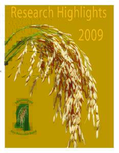 Rice Research Highlights, 2009