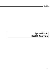 Appendix A: SWOT Analysis MUSKEGON AREA-WIDE PLAN STEERING COMMITTEE SWOT ANALYSIS: ASSESSING YOUR CURRENT SITUATION August 21, 2002