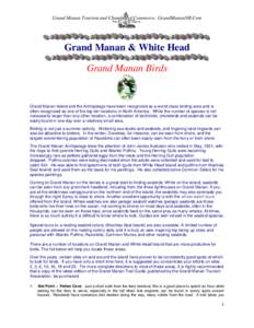 Grand Manan Tourism and Chamber of Commerce. GrandMananNB.Com  Grand Manan & White Head Grand Manan Birds  Grand Manan Island and the Archipelago have been recognized as a world-class birding area and is
