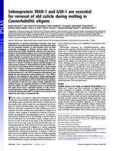 Selenoprotein TRXR-1 and GSR-1 are essential for removal of old cuticle during molting in Caenorhabditis elegans