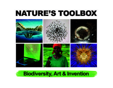 NATURE’S TOOLBOX  Biodiversity, Art & Invention BACKGROUND “Nature’s Toolbox” is an innovative traveling exhibition featuring contemporary artworks from around the world