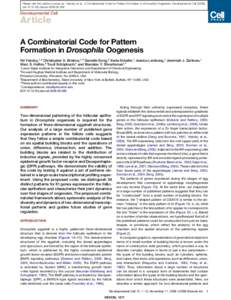 A Combinatorial Code for Pattern Formation in Drosophila Oogenesis