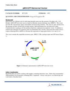 Product Data Sheet  pMX-GFP Retroviral Vector CATALOG NUMBER:  RTV-050