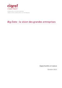 PROMOUVOIR LA CULTURE NUMERIQUE COMME SOURCE D’INNOVATION ET DE PERFORMANCE Big Data : la vision des grandes entreprises  Opportunités et enjeux