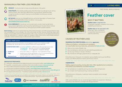 MANAGING A FEATHER LOSS PROBLEM  >>> FREE-RANGE, BARN & ORGANIC