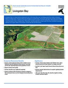 PUGET SOUND NEARSHORE ECOSYSTEM RESTORATION PROJECT (PSNERP) TENTATIVELY SELECTED PLAN Livingston Bay  IMAGE: Google Earth (2007)