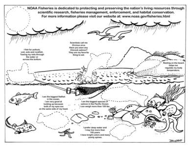 NOAA Fisheries is dedicated to protecting and preserving the nation’s living resources through scientific research, fisheries management, enforcement, and habitat conservation. For more information please visit our we