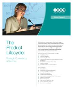 The Product Lifecycle: Strategic Consultancy & Services