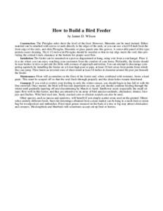 How to Build a Bird Feeder