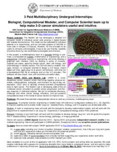 3 Paid Multidisciplinary Undergrad Internships: Biologist, Computational Modeler, and Computer Scientist team up to help make 3-D cancer simulators useful and intuitive. USC Center for Applied Molecular Medicine (CAMM), 