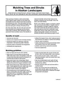 Mulching Trees and Shrubs in Alaskan Landscapes Alaska Department of Natural Resources / Division of Forestry / Community Forestry Program 550 W. 7th Ave., Ste[removed]Anchorage, AK[removed][removed]www.dnr.s