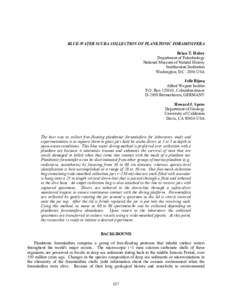 BLUE-WATER SCUBA COLLECTION OF PLANKTONIC FORAMINIFERA Brian T. Huber Department of Paleobiology National Museum of Natural History Smithsonian Institution Washington, D.C[removed]USA