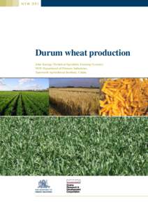 NSW DPI  Durum wheat production John Kneipp (Technical Specialist, Farming Systems) NSW Department of Primary Industries, Tamworth Agricultural Institute, Calala