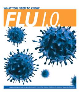 What you need to know  A special advertising supplement to Reno News & Review Brought to you by the nevada state health division | www.health.nv.gov FLU 101