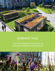 GRØNNE TAGE Inspirationskatalog med gode råd og eksempler fra Østerbro og København Kataloget er udgivet af: Miljøpunkt Østerbro