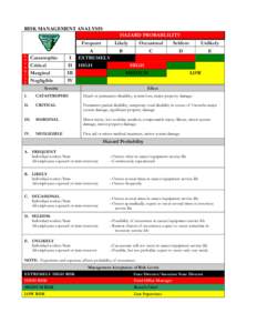 Microsoft Word - RISK MANAGEMENT ANALYSIS.doc