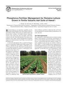 Soil and Crop Management Sept[removed]SCM-19 Phosphorus Fertilizer Management for Romaine Lettuce Grown in Fertile Volcanic Ash Soils of Hawai‘i