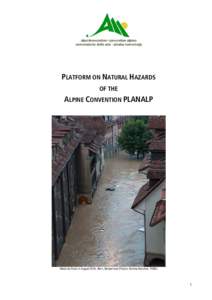 PLATFORM ON NATURAL HAZARDS OF THE ALPINE CONVENTION PLANALP  Historical flood in August 2005, Bern, Switzerland (Picture: Simone Hunziker, FOEN)