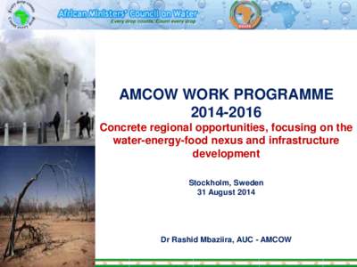 AMCOW WORK PROGRAMME[removed]Concrete regional opportunities, focusing on the water-energy-food nexus and infrastructure development Stockholm, Sweden