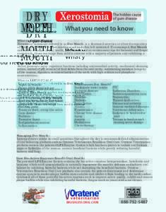 DRY MOUTH Xerostomia  The hidden cause