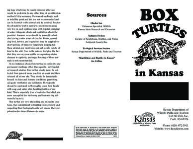 Terrapene / Turtles / Sea turtles / Box turtle / Reptile / U.S. state reptiles / Endangered species / Ornate box turtle / Three-toed box turtle / Cryptodira / Testudinoidea / Emydidae