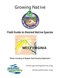 Growing Native  Field Guide to Desired Native Species WEST VIRGINIA Photos courtesy of Virginia Tech Forestry Department