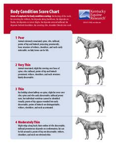 Biology / Equine conformation / Back / Adipose tissue / Rump / Rib / Human back / Henneke horse body condition scoring system / Horse anatomy / Anatomy / Veterinary medicine