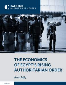 THE ECONOMICS OF EGYPT’S RISING AUTHORITARIAN ORDER Amr Adly JUNE 2014