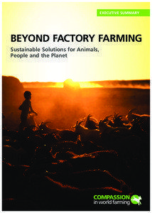 EXECUTIVE SUMMARY  BEYOND FACTORY FARMING