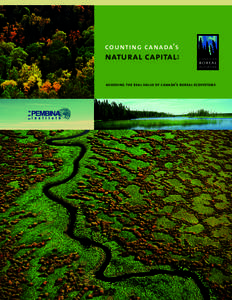 counting canada’s  natural capital : assessing the real value of canada’s boreal ecosystems  Note on the 2009 update