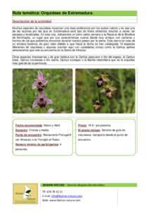 Ruta temática: Orquídeas de Extremadura. Descripción de la actividad: Muchas especies de orquídeas muestran una clara preferencia por los suelos calizos y es esa una de las razones por las que en Extremadura este tip