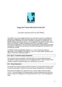 Dogger Bank Teesside A&B draft ES October[removed]Consultation response by North Sea RAC (NSRAC) The NSRAC, one of seven Regional Advisory Councils within Europe, is a membership organization established in 2004 under the 