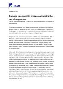 October 22, 2007  Damage to a specific brain area impairs the decision process The role of the prefrontal cortex in selecting the appropriate behavioral rule is shown in a primate study.