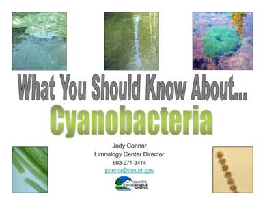 Jody Connor Limnology Center Director[removed]removed]  What are Cyanobacteria?