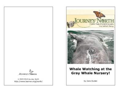 Photo   Keith Jones Whale Watching at the Gray Whale Nursery!