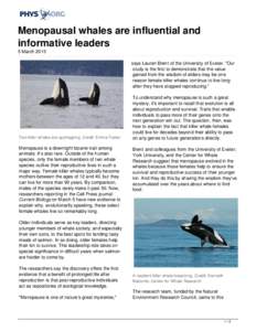 Menopausal whales are influential and informative leaders