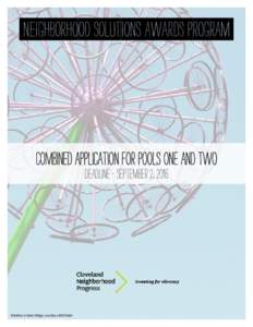 _neighborhood_solutions_awards_program_  combined application for pools one and two deadline - September 2, 2016  Rotoflora in Slavic Village, courtesy LAND Studio